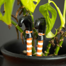 Load image into Gallery viewer, Set of 2 Witch Leg Plant Pot Ornaments Witchy Homeware
