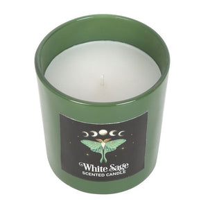 Witchy Goth Luna Moth White Sage Candle