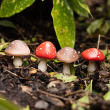 Load image into Gallery viewer, Set of 4 Mini Mushroom Plant Pot Pals
