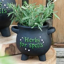 Load image into Gallery viewer, Small &#39;Herbs For Spells&#39; Cauldron Witchy Plant Pot Goth Homeware
