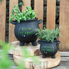 Load image into Gallery viewer, Small &#39;Herbs For Spells&#39; Cauldron Witchy Plant Pot Goth Homeware
