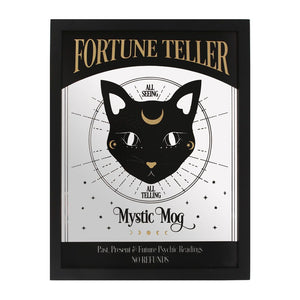 Mystic Mog Fortune Teller Mirrored Wall Hanging Witchy Goth Homeware