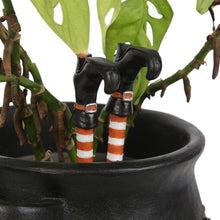 Load image into Gallery viewer, Set of 2 Witch Leg Plant Pot Ornaments Witchy Homeware
